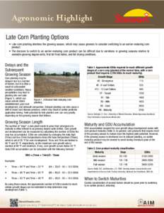    Late Corn Planting Options • Late corn planting shortens the growing season, which may cause growers to consider switching to an earlier-maturing corn product. • The decision to switch to an earlier-maturing corn
