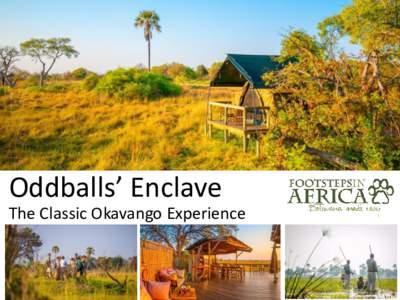 Oddballs’ Enclave The Classic Okavango Experience Oddballs’ Enclave The Enclave is on a small island just off the south-western edge of Chief’s Island, deep in the heart of the Okavango, and bordering Moremi Game