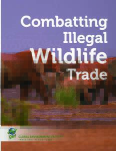 Combatting Illegal Wildlife Trade