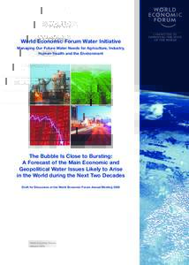 World Economic Forum Water Initiative Managing Our Future Water Needs for Agriculture, Industry, Human Health and the Environment The Bubble Is Close to Bursting: A Forecast of the Main Economic and