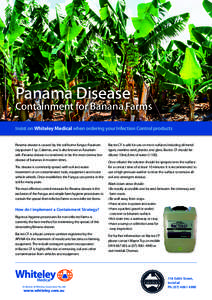 Panama Disease  Containment for Banana Farms Insist on Whiteley Medical when ordering your Infection Control products Panama disease is caused by the soil borne fungus Fusarium oxysporum f. sp. Cubense, and is also known