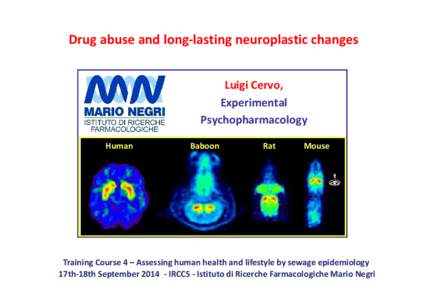 Drug abuse and long-lasting neuroplastic changes Luigi Cervo, Experimental Psychopharmacology Human
