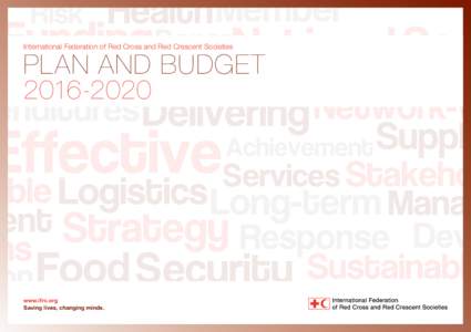 International Federation of Red Cross and Red Crescent Societies  PLAN AND BUDGETwww.ifrc.org