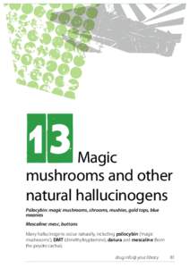 13  Magic mushrooms and other natural hallucinogens Psilocybin: magic mushrooms, shrooms, mushies, gold tops, blue