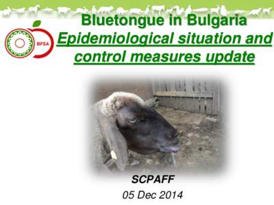 Bluetongue in Bulgaria Epidemiological situation update