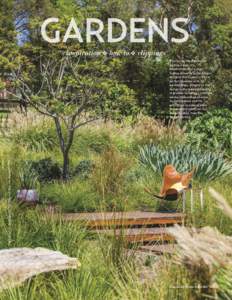 GARDENS inspiration ❖ how to ❖ clippings Photograph by J ason Busch. For Where to Buy, see pageThis native/Mediterranean