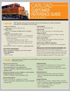 CARLOAD CUSTOMER REFERENCE GUIDE AT-A-GLANCE > SET-UP