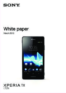 White paper March 2013
