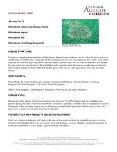 Brown patch / Biology / Rhizoctonia solani / Landscape / Botany / Sod / Texas A&M AgriLife / Fungicide / Turf necrotic ring spot / Pythium in turfgrass