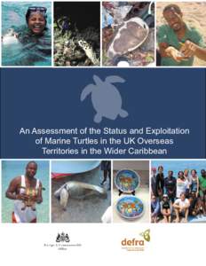 An Assessment of the Status and Exploitation of Marine Turtles in the UK Overseas Territories in the Wider Caribbean TCOT Final Report: Section 1 Page 1