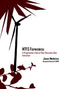 NTFS Forensics:  A Programmers View of Raw Filesystem Data