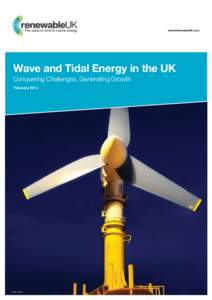 www.RenewableUK.com  Wave and Tidal Energy in the UK Conquering Challenges, Generating Growth February 2013