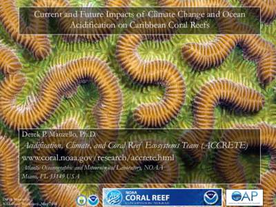 Current and Future Impacts of Climate Change and Ocean Acidification on Caribbean Coral Reefs Derek P. Manzello, Ph.D.  Acidification, Climate, and Coral Reef Ecosystems Team (ACCRETE)