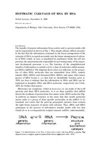 ENZYMATIC CLEAVAGE OF RNA BY RNA Nobel Lecture, December 8, 1989 SIDNEY A LTMAN Department of Biology, Yale University, New Haven, CT 06520, USA