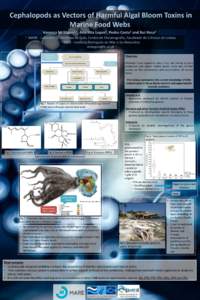 Biological oceanography / Neurotoxins / Diatoms / Aquatic ecology / Fisheries / Domoic acid / Algal bloom / Pseudo-nitzschia / Saxitoxin / Water / Biology / Chemistry