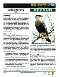 southwestlearning.org  Organ Pipe Landbird Monitoring 2010