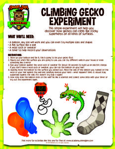 CLiMBiNG GECKO EXPERiMENT WHAT YOU’LL NEED: •A •A •A
