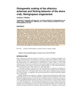 Ontogenetic scaling of the olfactory antennae and flicking behavior of the shore crab, Hemigrapsus oregonensis Lindsay D. Waldrop1 1 Department