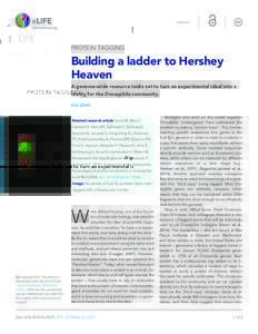 INSIGHT  PROTEIN TAGGING Building a ladder to Hershey Heaven
