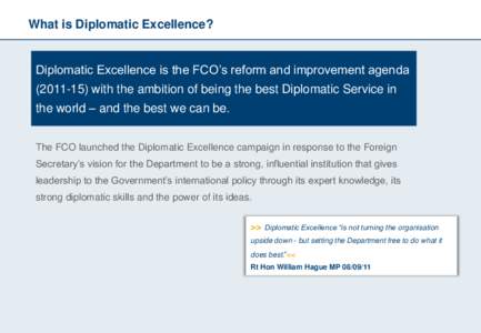 Diplomatic Excellence - Briefing document