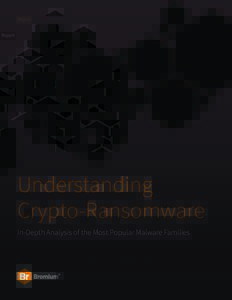 Report  Understanding Crypto-Ransomware In-Depth Analysis of the Most Popular Malware Families