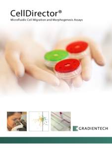 CellDirector®  Microfluidic Cell Migration and Morphogenesis Assays “