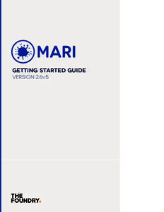 Mari 2.6v5 Getting Started Guide