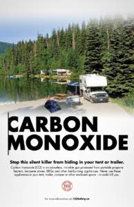 Stop this silent killer from hiding in your tent or trailer. Carbon monoxide (CO) is an odourless, invisible gas produced from portable propane heaters, kerosene stoves, BBQs and other fuel-burning appliances. Never use 