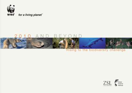 2010  AND BEYOND Rising to the biodiversity challenge