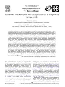 ANIMAL BEHAVIOUR, 2006, 72, 1159e1167 doi:[removed]j.anbehav[removed]Infanticide, sexual selection and task specialization in a biparental burying beetle S TE PH E N T. TRUMB O