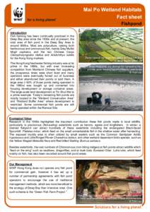 Mai Po Wetland Habitats Fact sheet Fishpond Introduction Fish farming has been continually practiced in the Deep Bay area since the 1930s and at present, the