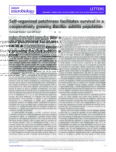 LETTERS PUBLISHED: 7 MARCH 2016 | ARTICLE NUMBER: 16022 | DOI: NMICROBIOLSelf-organized patchiness facilitates survival in a cooperatively growing Bacillus subtilis population Christoph Ratzke* and Jeff 
