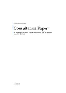European Commission  Consultation Paper on generation adequacy, capacity mechanisms and the internal market in electricity