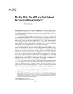 The BigEckersley Robyn Chill: The WTO and Multilateral Environmental Agreements The Big Chill: The WTO and Multilateral Environmental Agreements*