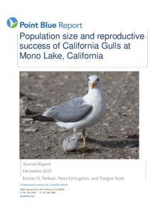 Population size and reproductive success of California Gulls at Mono Lake, California Annual Report December 2015