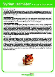 Syrian Hamster - Facts & Care Sheet Do I make a good pet? Yes...Syrian hamsters make good family pets and are ideal for both children and adults. With lots of attention they can become very tame and are easy to care for.