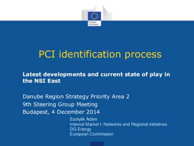 PCI identification process Latest developments and current state of play in the NSI East Danube Region Strategy Priority Area 2 9th Steering Group Meeting Budapest, 4 December 2014