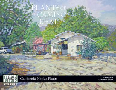 California Native Plants  CATALOG & PLANTING GUIDE  PA R A D I S E