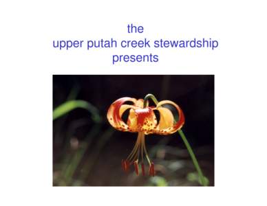 the upper putah creek stewardship presents Capture Care,