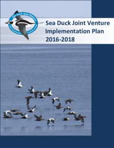 Sea Duck Joint Venture Implementation Plan Suggested Citation: Sea Duck Joint VentureSea Duck Joint Venture Implementation Plan for January