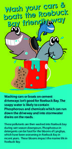 Washing cars or boats on cement driveways isn’t good for Roebuck Bay. The soapy water is likely to contain Phosphorous and chemicals which can run down the driveway and into stormwater drains on the roads.