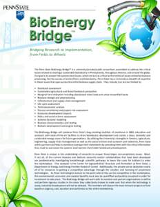 IOENERG  BioEnergy Bridge ™