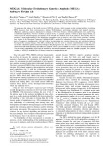 MEGA4: Molecular Evolutionary Genetics Analysis (MEGA) Software Version 4.0 Koichiro Tamura,*  Joel Dudley,* Masatoshi Nei,à and Sudhir Kumar§* *Center for Evolutionary Functional Genomics, The Biodesign Institute, Ar