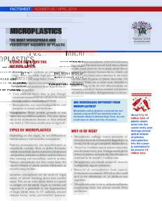 Factsheet  Number 56 / April 2018 Microplastics the most widespread and