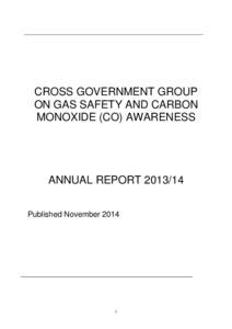 ANNUAL REPORT – CROSS GOVERNMENT GROUP ON GAS SAFETY AND CARBON MONOXIDE (CO) AWARENESS V1 27 October 2014
