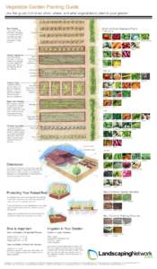 Vegetable Garden Planting Guide Use this guide to find out when, where, and what vegetables to plant in your garden Row Planting  Most Common Vegetable Plants