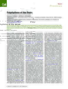 Neuron  Previews Polyrhythms of the Brain Francesco P. Battaglia1,* and Bruce L. McNaughton2 1Center for Neuroscience – Swammerdam Institute for Life Sciences, Universiteit van Amsterdam, Science Park 904, 1098XH Amste