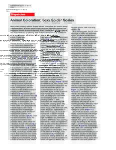 Current Biology Vol 17 No 15 R592 Dispatches  Animal Coloration: Sexy Spider Scales