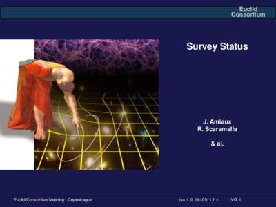 Euclid Consortium Survey Status  J. Amiaux