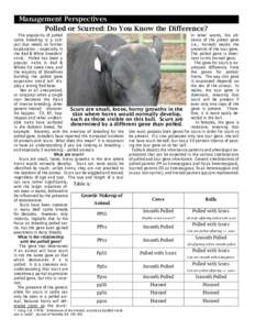 Management Perspectives Polled or Scurred: Do You Know the Difference? The popularity of polled In other words, the abcattle breeding is a subsence of the polled gene ject that needs no further (i.e., horned) masks the